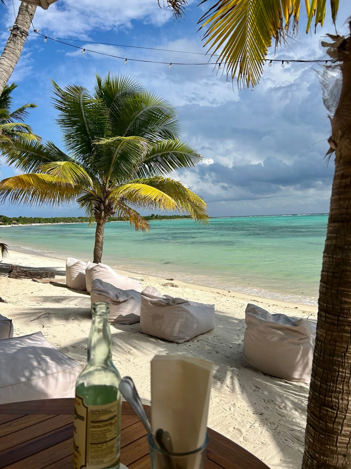 Palm trees along a turquoise tropical shoreline